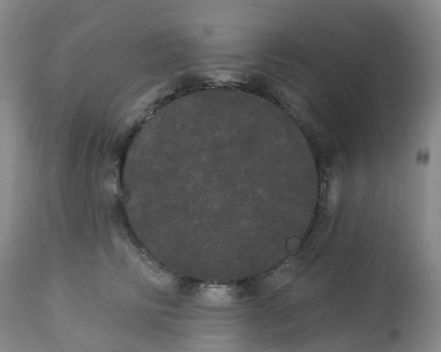 X0000113080710200909111003