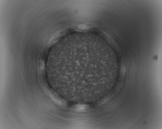 X0000113080711200909111003