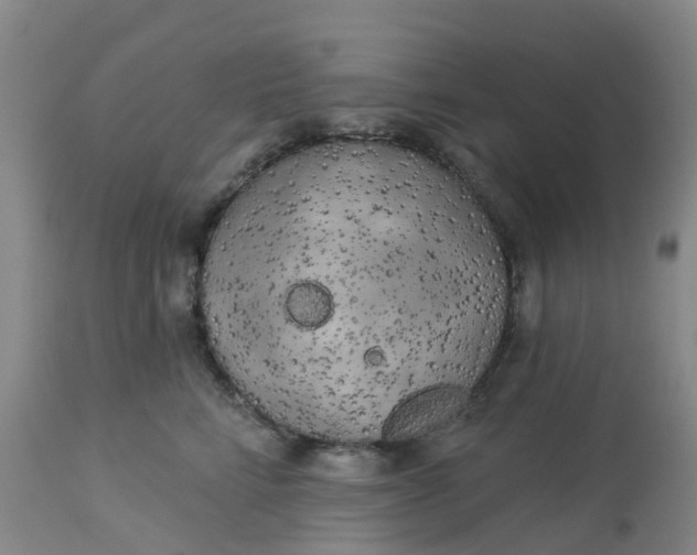 X0000113080712200909111003