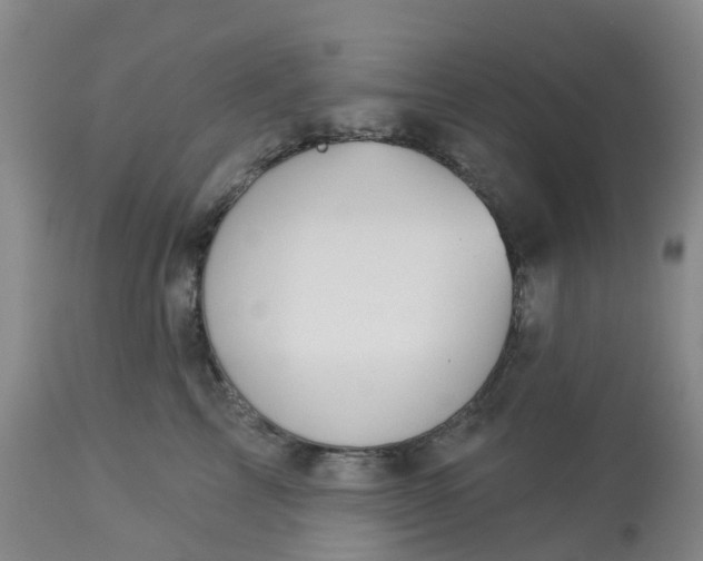 X0000113080713200909111003