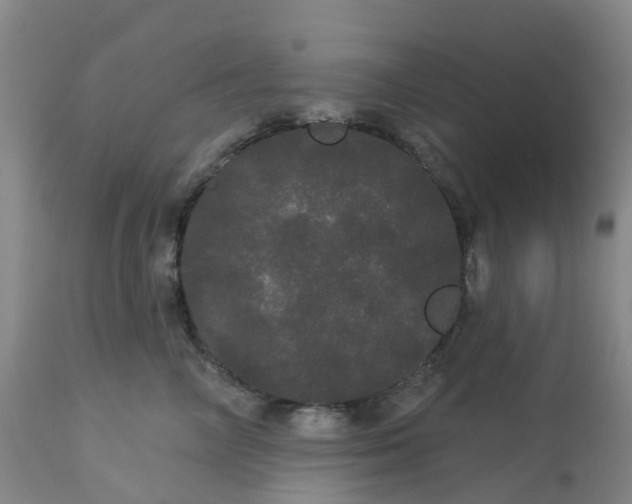 X0000113080714200909111003