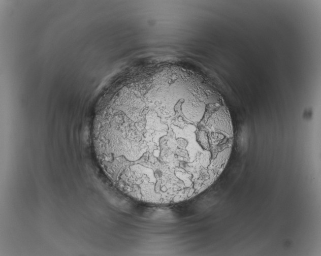 X0000113080715200909111003