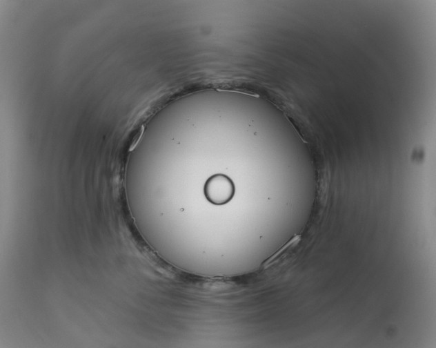 X0000113080716200909111003