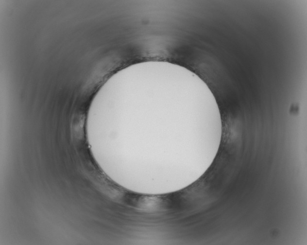 X0000113080717200909111003