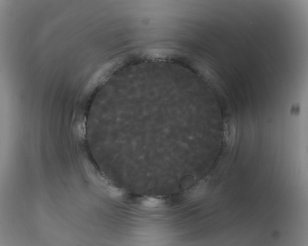 X0000113080718200909111003