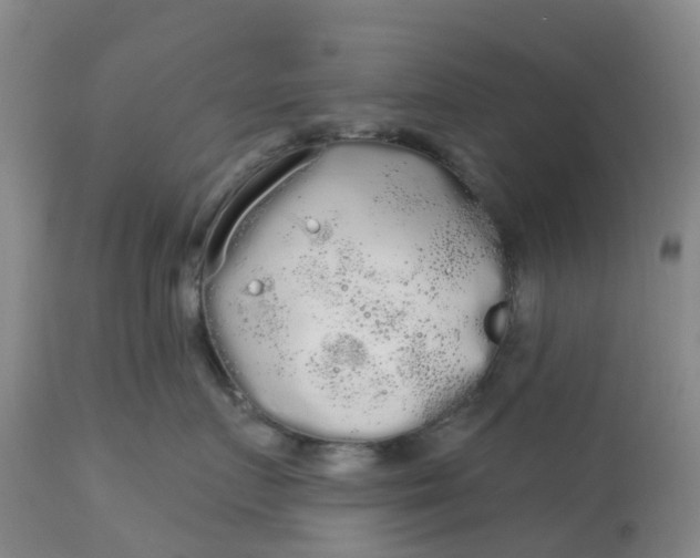 X0000113080719200909111003