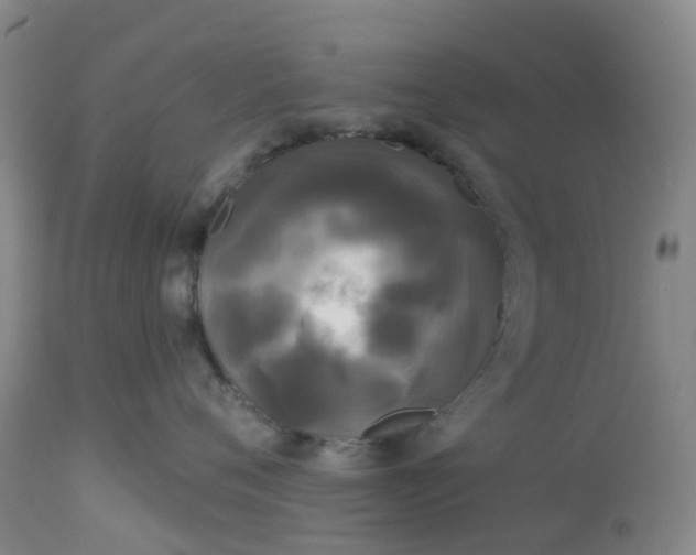 X0000113080720200909111003