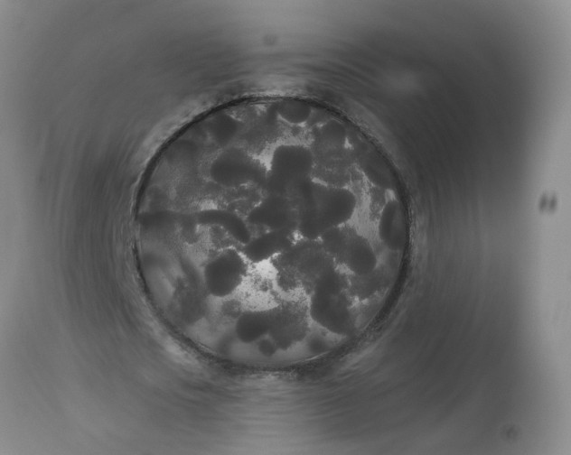 X0000113080721200909111002