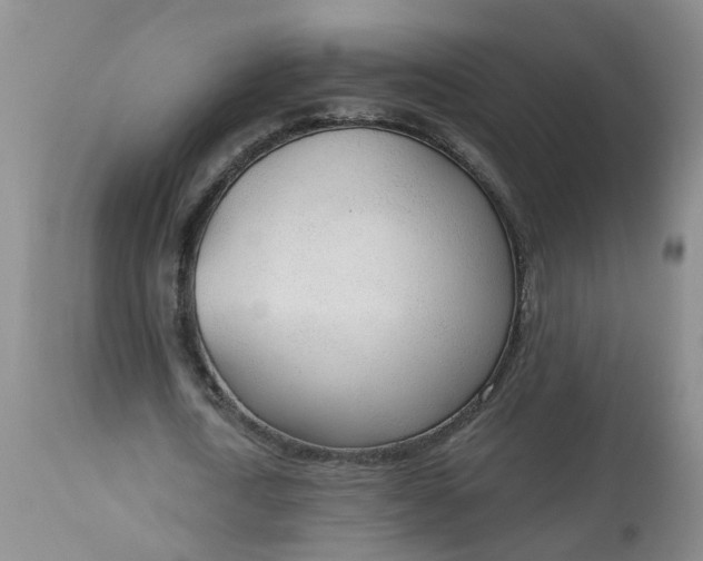 X0000113080722200909111002