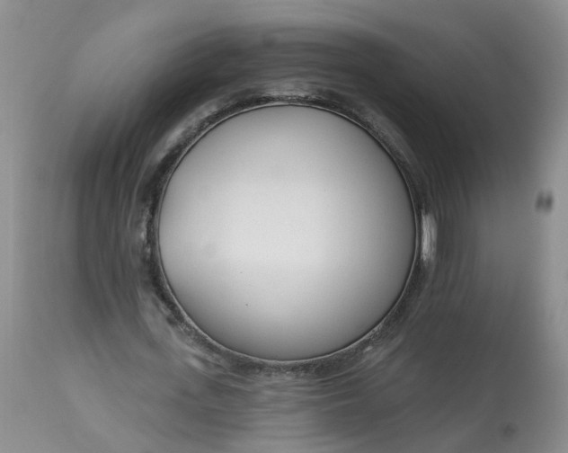 X0000113080723200909111002