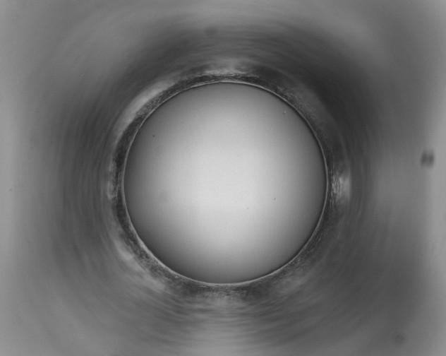 X0000113080724200909111002