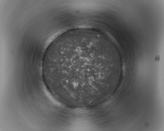 X0000113080725200909111002