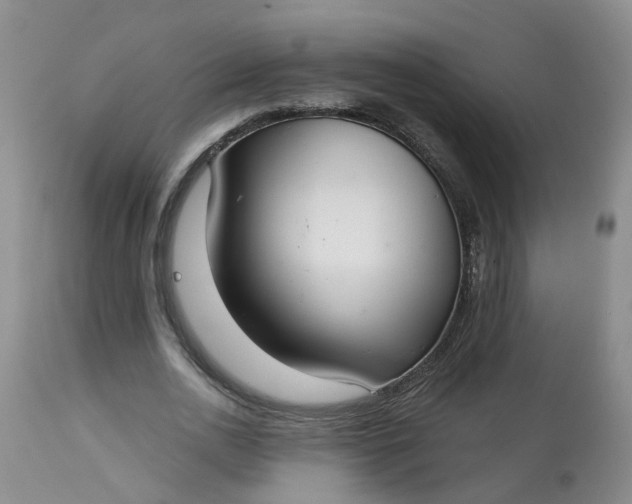 X0000113080726200909111002