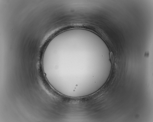 X0000113080728200909111002