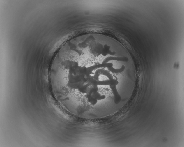 X0000113080729200909111002