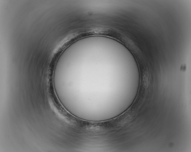 X0000113080730200909111002