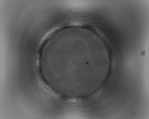 X0000113080731200909111002