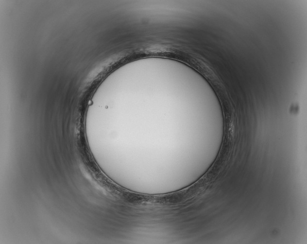 X0000113080732200909111002