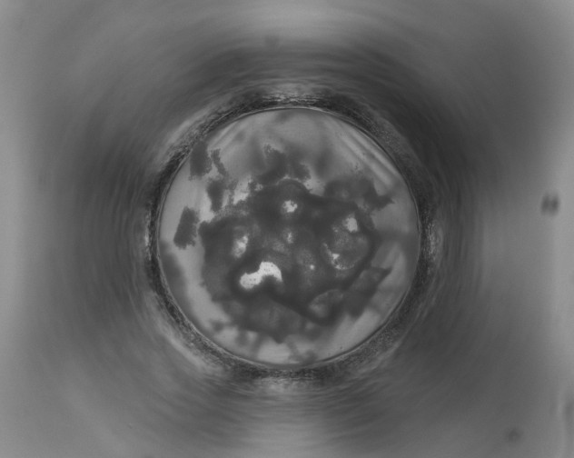 X0000113080733200909111002