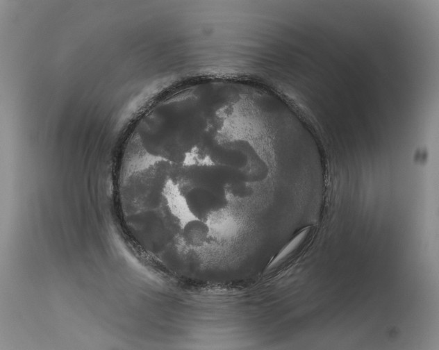 X0000113080734200909111002