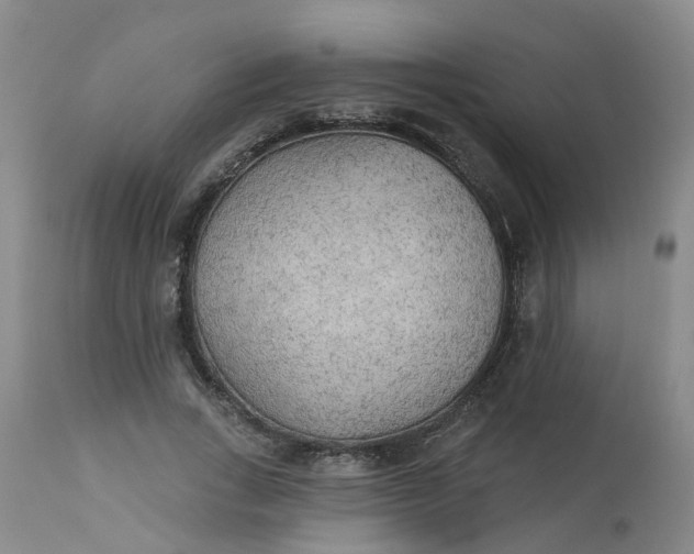 X0000113080735200909111003