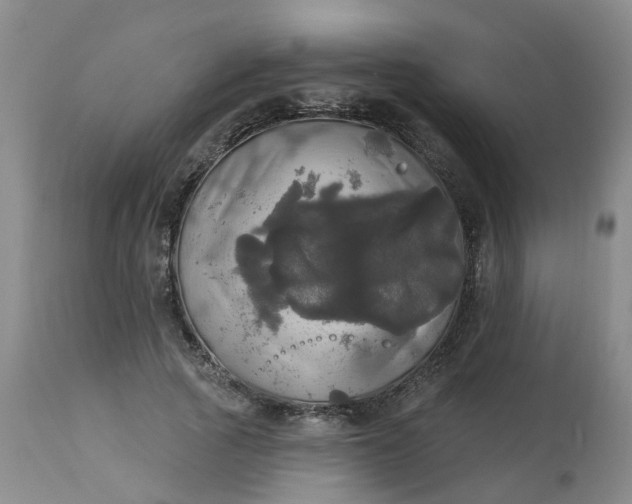 X0000113080737200909111003