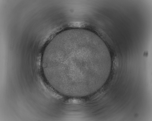 X0000113080739200909111003