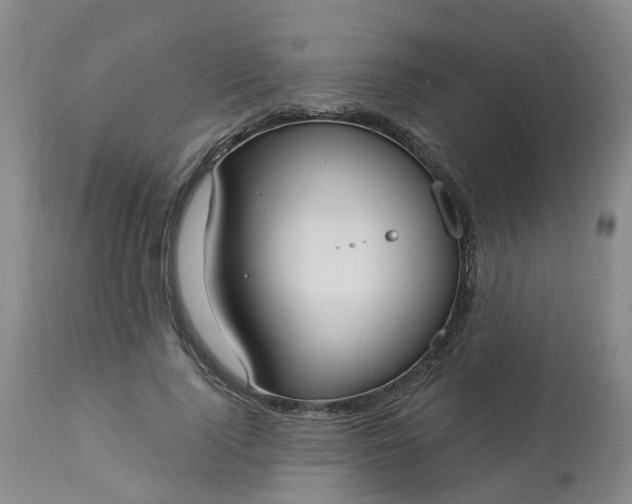 X0000113080740200909111003