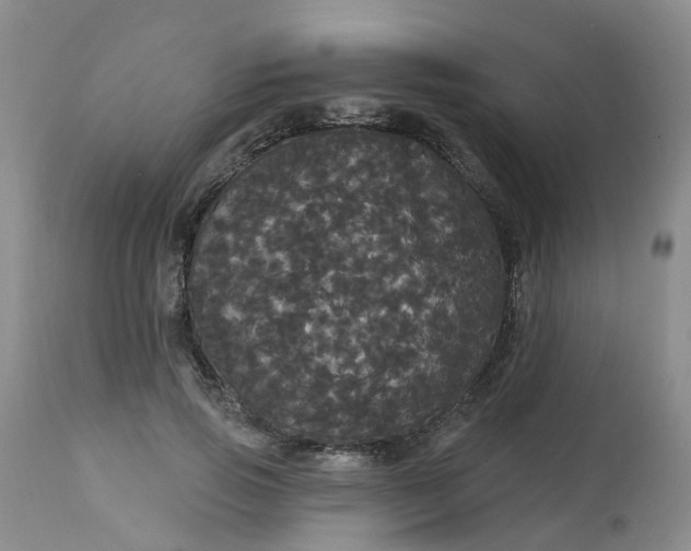 X0000113080741200909111003