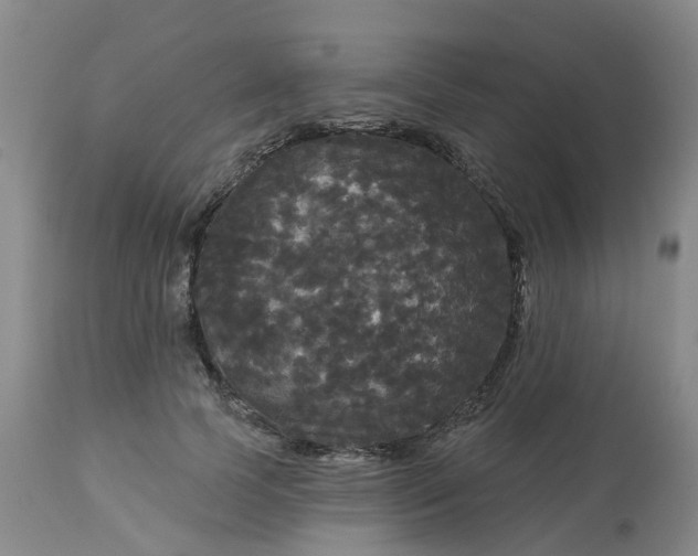 X0000113080745200909111003