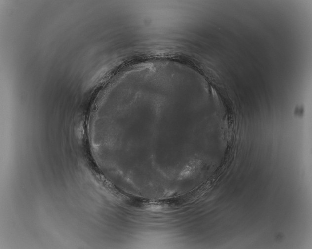 X0000113080746200909111003