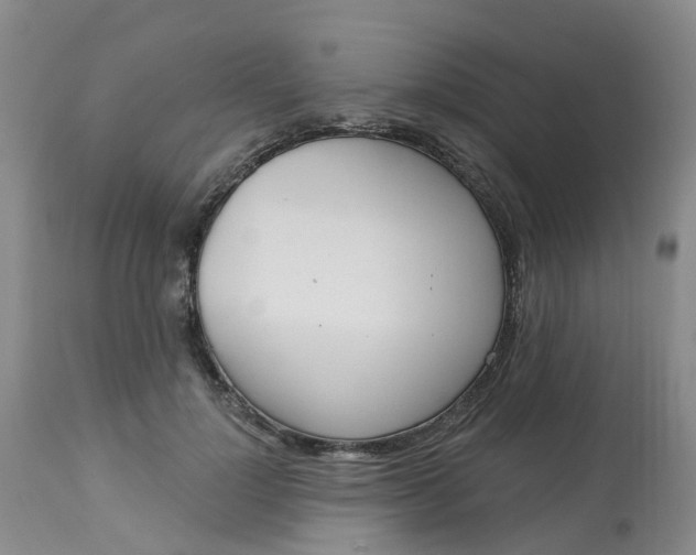 X0000113080748200909111003