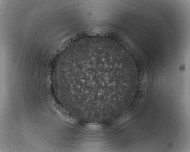 X0000113080749200909111003