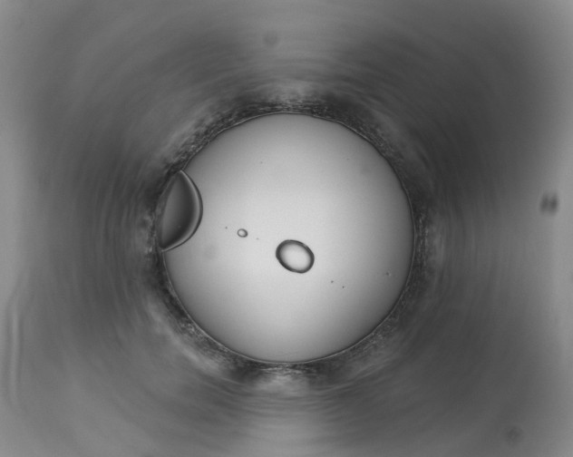 X0000113080750200909111003