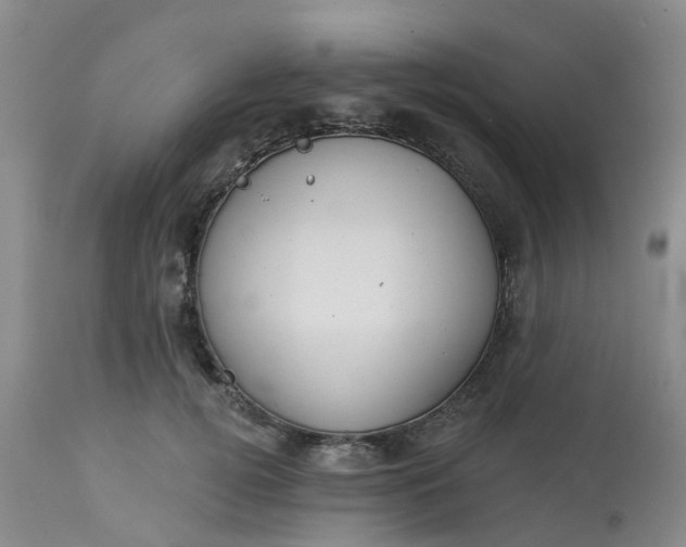 X0000113080752200909111003