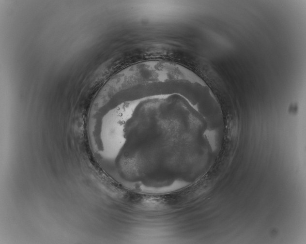 X0000113080753200909111003