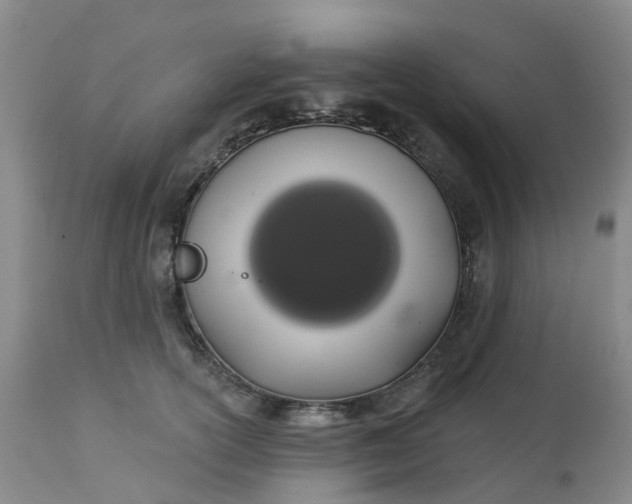 X0000113080754200909111003