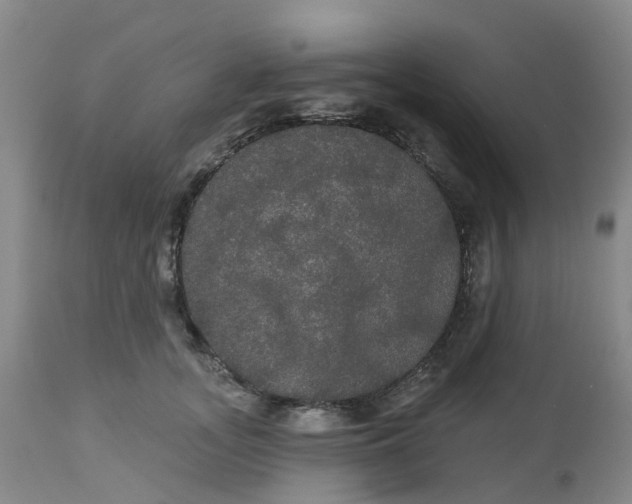 X0000113080755200909111003