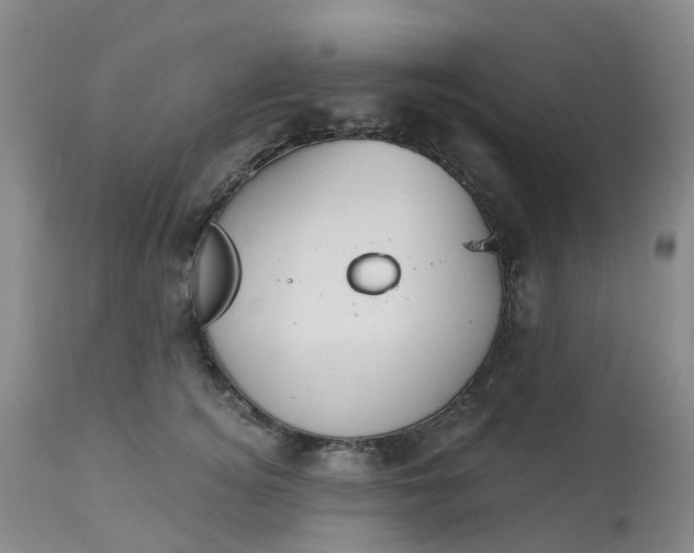 X0000113080756200909111003