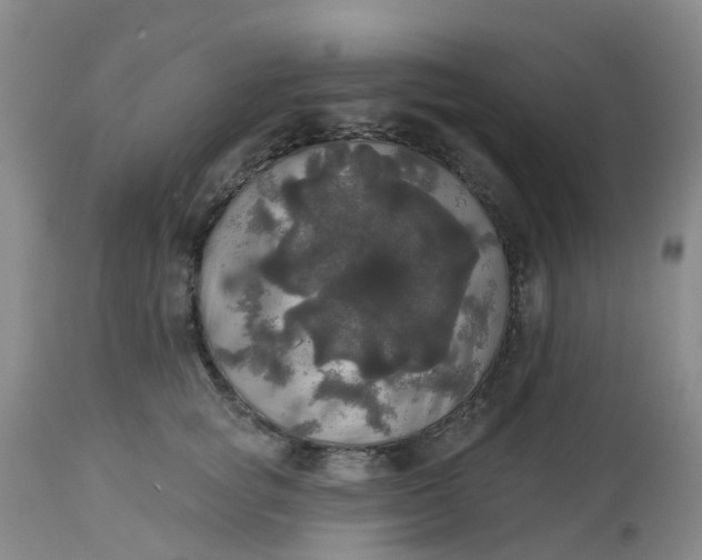 X0000113080757200909111003