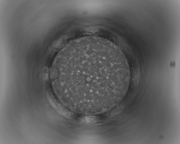 X0000113080758200909111003