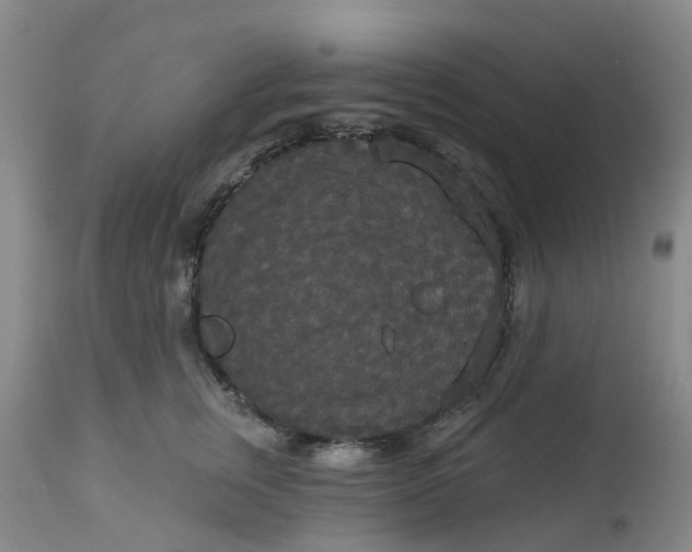 X0000113080759200909111003