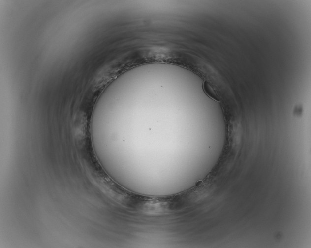 X0000113080760200909111003