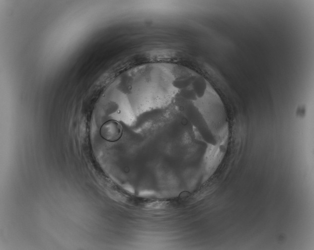 X0000113080761200909111003