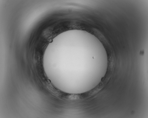 X0000113080762200909111003