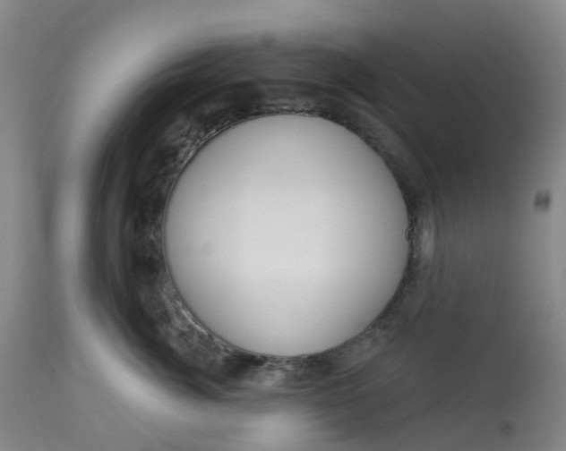 X0000113080764200909111003