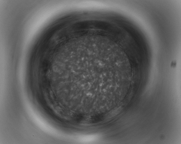 X0000113080765200909111003