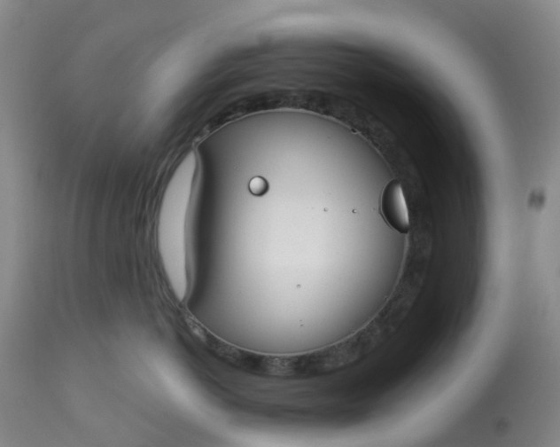 X0000113080766200909111003