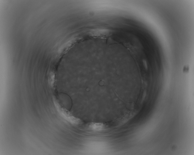 X0000113080767200909111003