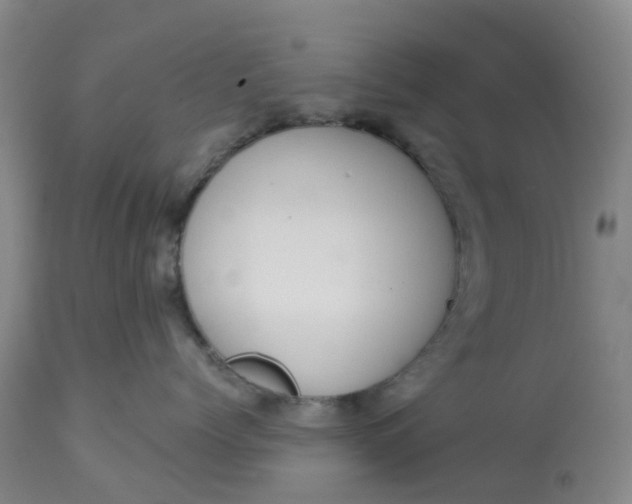 X0000113080768200909111003